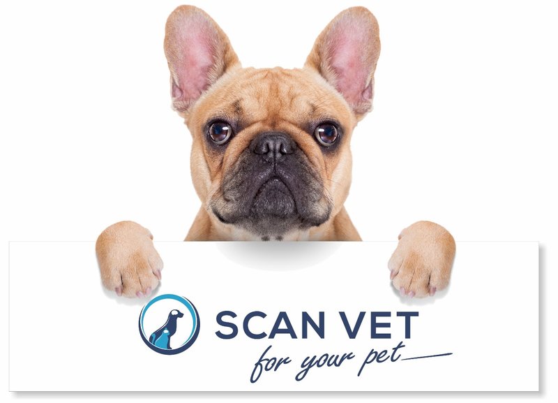 Scan Vet - Centru medical veterinar